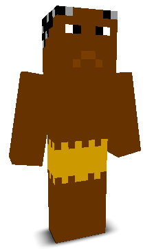 User's Minecraft appearance