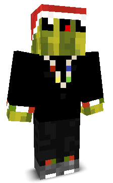 User's Minecraft appearance