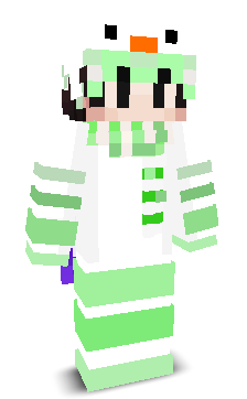 User's Minecraft appearance