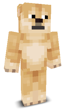 User's Minecraft appearance