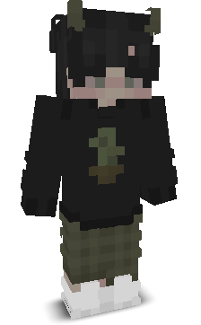 User's Minecraft appearance