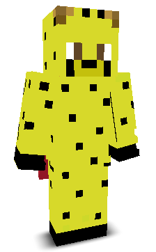 User's Minecraft appearance