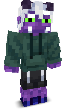 User's Minecraft appearance