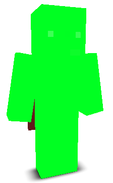 User's Minecraft appearance