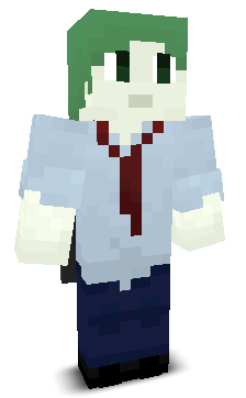User's Minecraft appearance