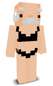 User's Minecraft appearance