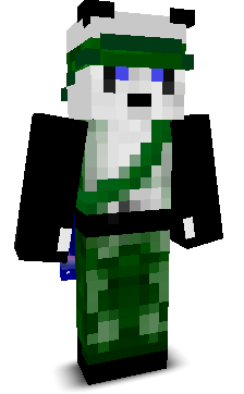 User's Minecraft appearance