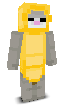 User's Minecraft appearance