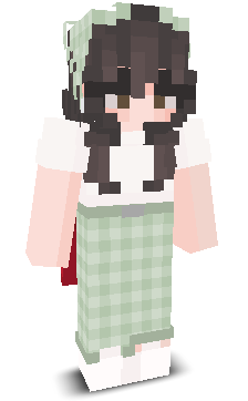 User's Minecraft appearance