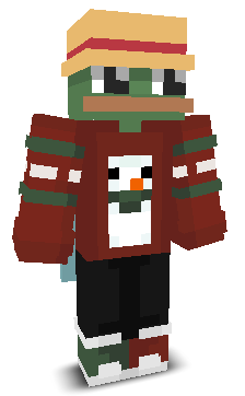 User's Minecraft appearance
