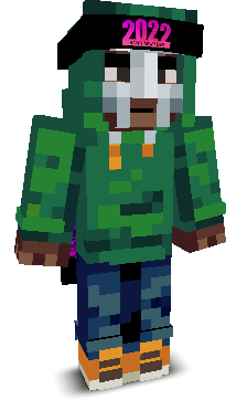 User's Minecraft appearance