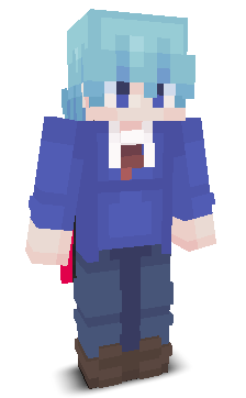 User's Minecraft appearance