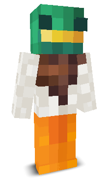 User's Minecraft appearance