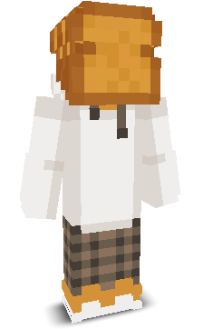 User's Minecraft appearance