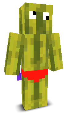 User's Minecraft appearance