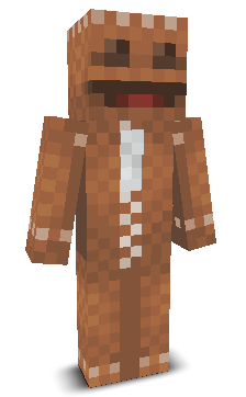 User's Minecraft appearance