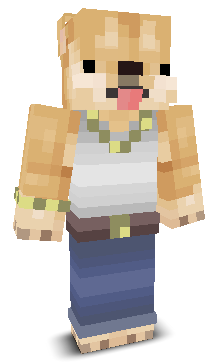User's Minecraft appearance