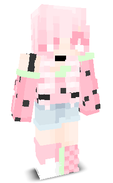 User's Minecraft appearance