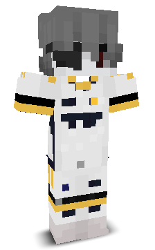 Skin gracza mis23