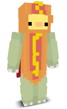 User's Minecraft appearance