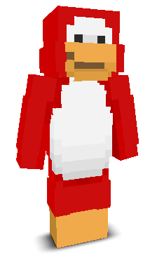 User's Minecraft appearance
