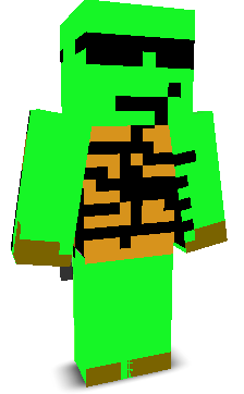 User's Minecraft appearance