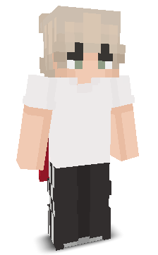 User's Minecraft appearance