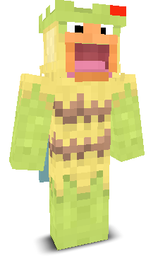 User's Minecraft appearance