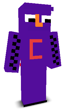 User's Minecraft appearance