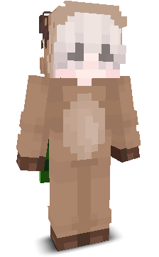 User's Minecraft appearance