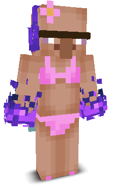 User's Minecraft appearance