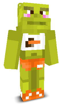 User's Minecraft appearance