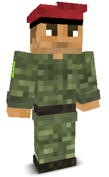 User's Minecraft appearance