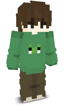 User's Minecraft appearance