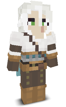User's Minecraft appearance