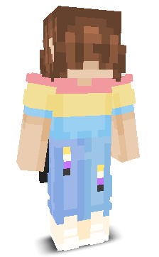 User's Minecraft appearance