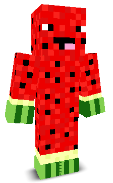 User's Minecraft appearance