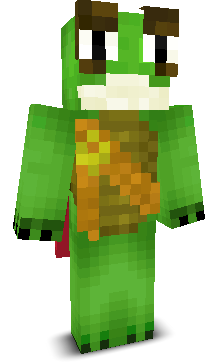 User's Minecraft appearance