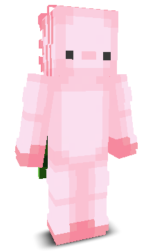User's Minecraft appearance