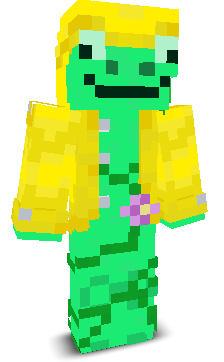 User's Minecraft appearance