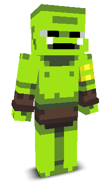 User's Minecraft appearance