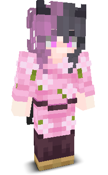 User's Minecraft appearance