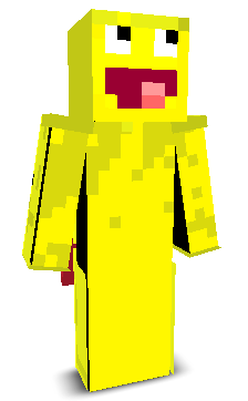 User's Minecraft appearance