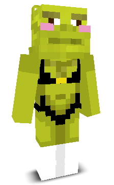User's Minecraft appearance