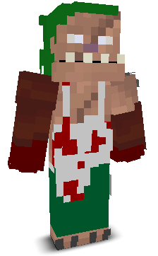 User's Minecraft appearance