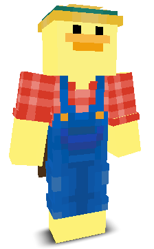 User's Minecraft appearance