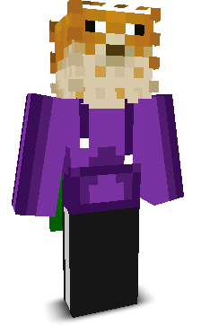 User's Minecraft appearance