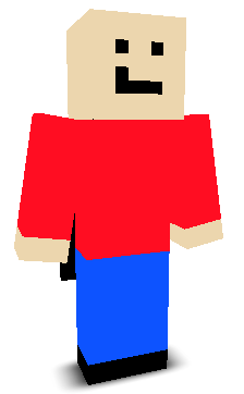 User's Minecraft appearance