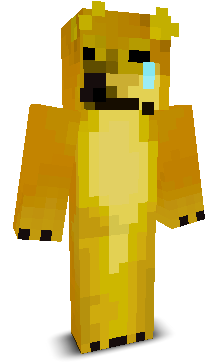 User's Minecraft appearance