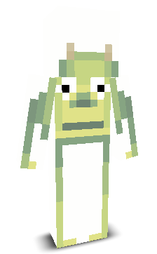 User's Minecraft appearance